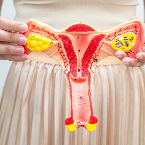 Pelvic-prolapse_mini